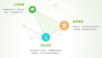 在100个华大也不会饱和基因检测市场,华点云要将生物信息技术产品化