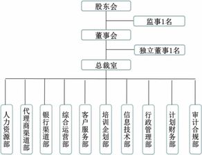 保险代理公司的组织结构