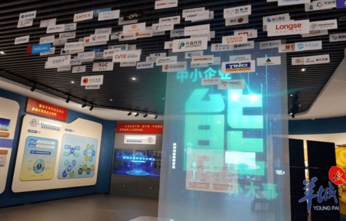 429家 广东盛产专精特新 小巨人 ,一条街道就涌出5家